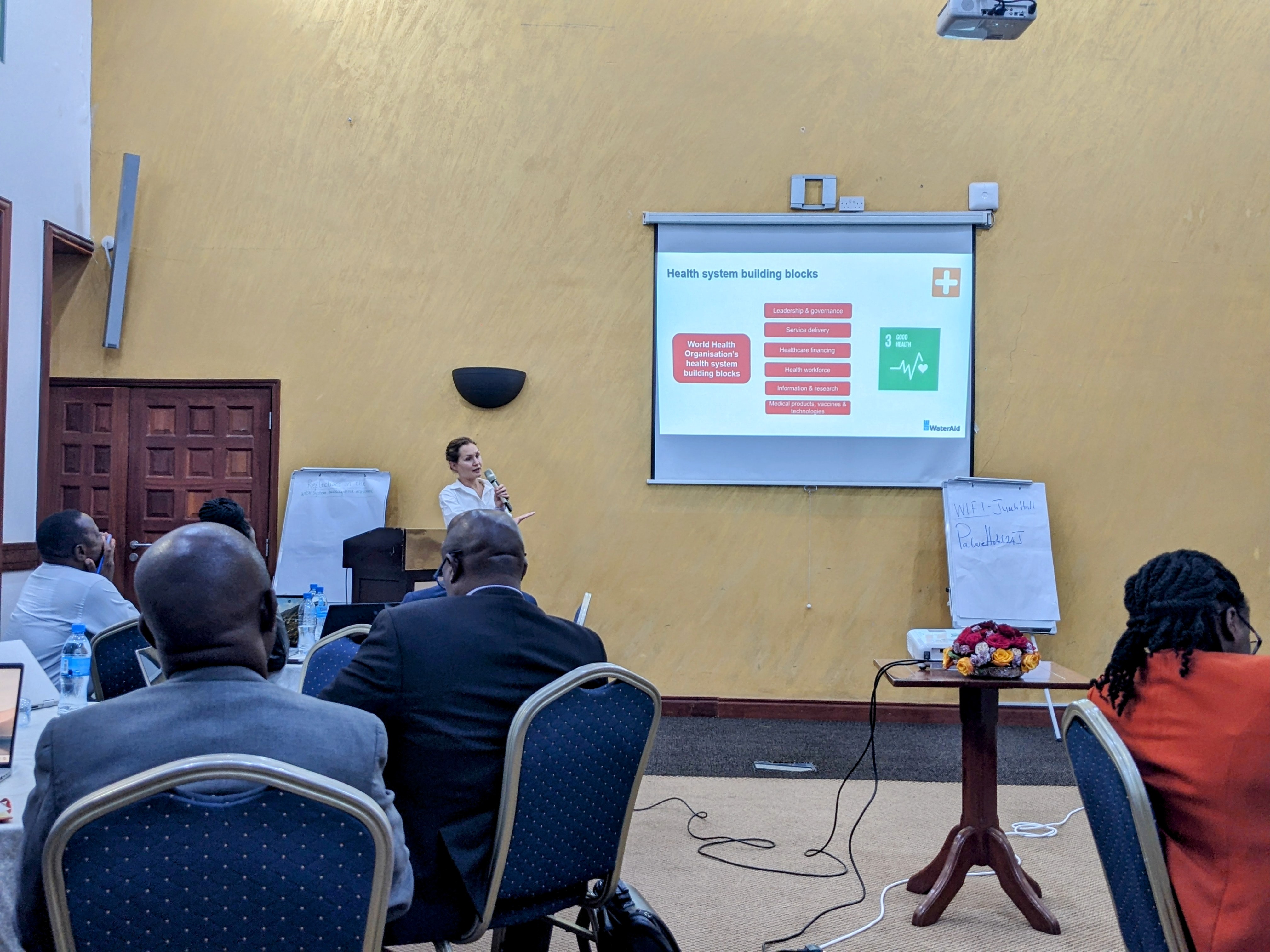 SECTORAL ASSESSMENT ON WASH SYSTEM BUILDING BLOCKS RELATED TO ACCESS TO WATER, SANITATION, AND HYGIENE (WASH) IN THE HEALTH SECTOR TO IMPROVE PUBLIC HEALTH IN TANZANIA